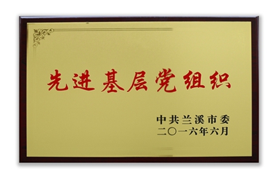 蘭溪市先進(jìn)基層黨組織